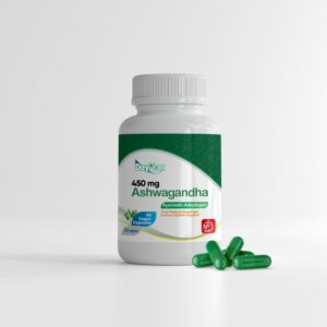 DayPlant Ashwagandha 450 mg 90 Vegan Capsules