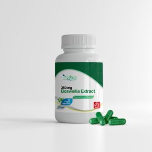DayPlant Boswellia 250 mg 90 Vegan Capsules